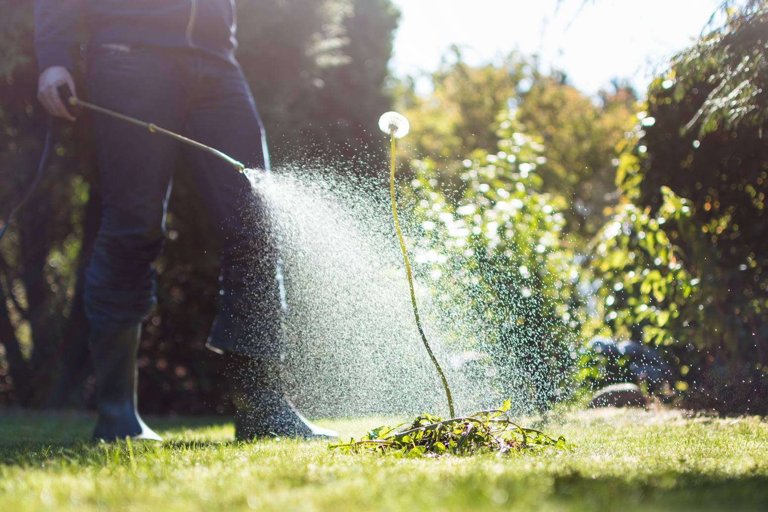 Spraying,Weeds,In,The,Garden