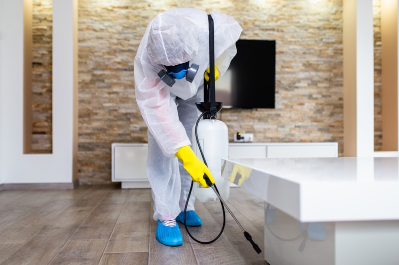 Thorough Concord pest control services in CA near 94520