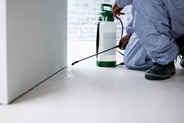 Professional Concord commercial pest control in CA near 94520