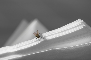 El Cerrito Restaurant Pest Control Specialized El Cerrito restaurant pest control in CA near 94530