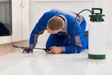 Concord Residential Pest Control Concord residential pest control services in CA near 94520