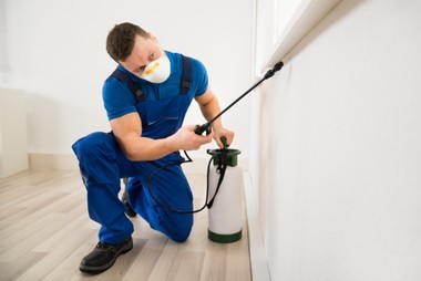 San Pablo Pest Control Contractor Knowledgeable San Pablo pest control contractor in CA near 94803