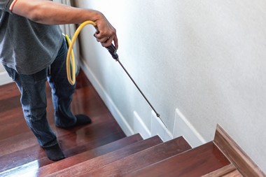 San Ramon Pest Control Contractor Local San Ramon pest control contractor in CA near 94582