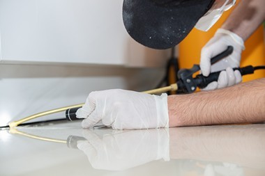 Expert Bay Point pest removers in CA near 94565
