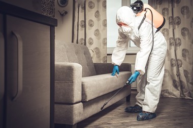 Emeryville Bed Bugs