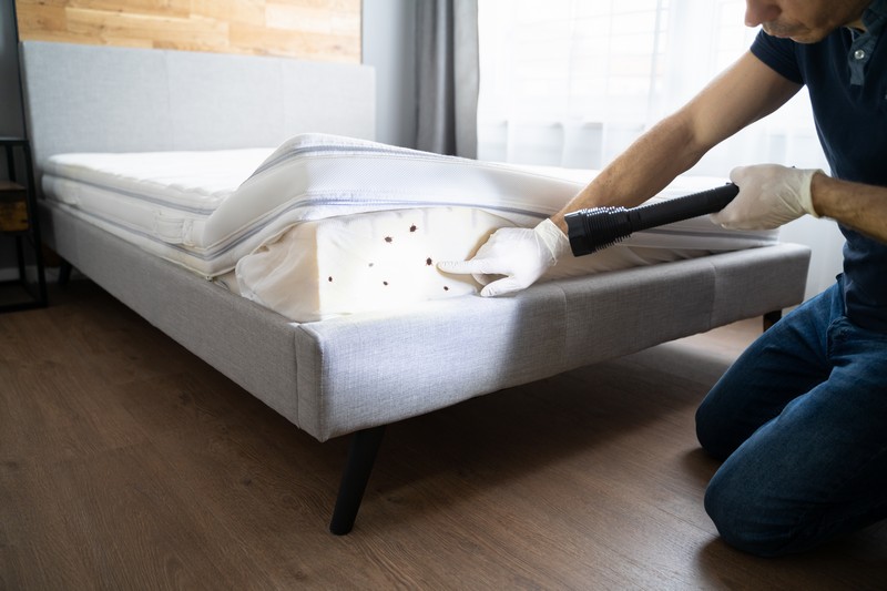 Bed Bug Elimination Walnut Creek